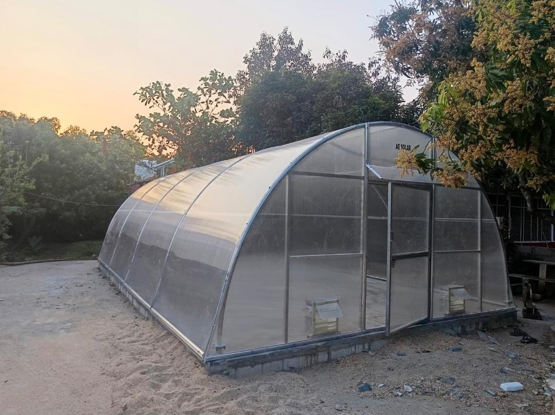 Solar Dryer 